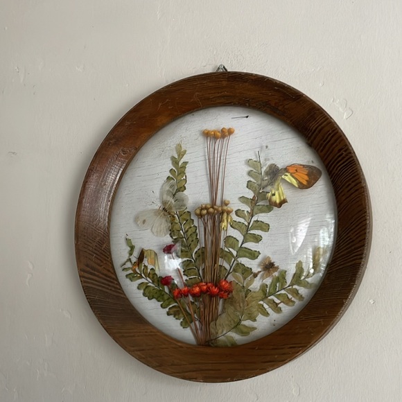 •| dried floral art - Picture 4 of 15